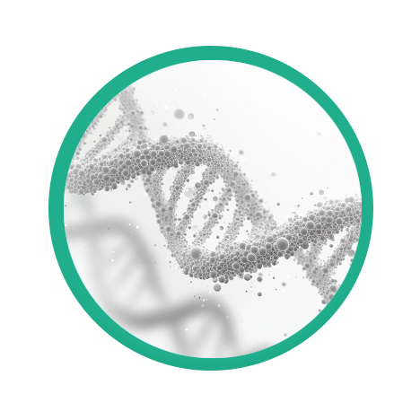 洛陽米科尼精密機械有限公司 洛陽米科尼精密機械有限公司